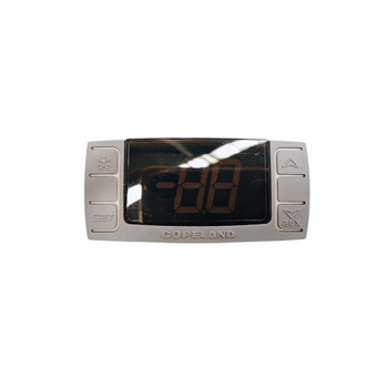 Contrôleur de température FG07002 | CFG07002/4