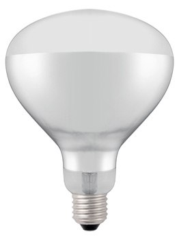 Ampoule chauffante infrarouge, 0,25 kW, 230 V | HENDI 919200