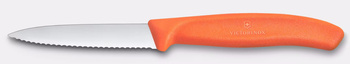 Couteau à légumes et à fruits Swiss Classic, lame dentelée, orange, long. lame 8 cm | VICTORINOX 6.7639.C1