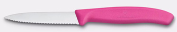 Couteau à légumes et fruits Swiss Classic, lame dentelée, rose, long. lame 8 cm | VICTORINOX 6.7635.C1