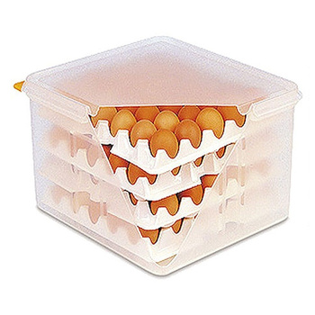 Récipient pour œufs GN 2/3, 35,5x32,5x20 cm | CONTACTO 8033/023