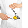 Presse-citron, presse-citron vert | FORGAST FG11442