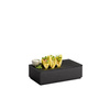 Caisse en bois Valo GN 1/3, 32,5x17,6x8,5 cm, noire | APS 14107