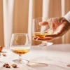 Verres à cognac Balance 510 ml - ensemble de 6 pièces | KROSNO GLASS F573903048018000