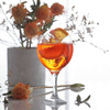 Verre à vin rouge Bistro 260 ml | MODERMO MG004