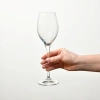 Verres à Prosecco, Harmony, 300 ml - ensemble de 6 pièces | KROSNO F57B576028004020