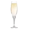 Verres à champagne Venezia, 210 ml - set de 6 pièces | KROSNO F578235020059000
