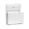 Congélateur bahut capacité 330 l | FORGAST FG08300