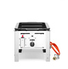 Poêle à gaz Grill Master MINI, à gaz, 4,6 kW, 29x48 cm | HENDI 154601