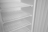 Armoire de congélation laquée Budget Line 600 l, intérieur en matériau synthétique, serrure | ARKTIC 236109