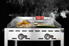 Barbecue à gaz Green Fire Profi Line à 2 brûleurs, 11,6 kW | HENDI 149621