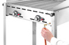 Grill gazowy Green Fire Profi Line à 2 brûleurs, 11,6 kW | HENDI 149508