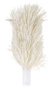 Ensemble de brosses pour polisseuse de verre, long. 20,5 cm – 2 pcs | HENDI 230138