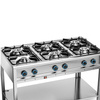 Cuisinière professionnelle à gaz 6 feux, 34,4 kW | FORGAST FG09456