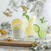 Verre bas Costa 305 ml | MODERMO MG304