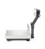 Balance plate-forme électronique - jusqu'à 60 kg | TEM BEK+C035X040060-KB