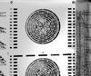 Four mixte à convection-vapeur Silversteam 2 P-7110D avec système de lavage | BARTSCHER 117792