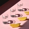 Verres à vodka Shot 50 ml - ensemble de 6 pièces | KROSNO GLASS F687316005016000