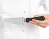 Pelle à pizza, acier inoxydable, longueur 24,5 cm | FORGAST FG11222