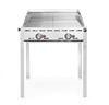 Barbecue à gaz Green Fire Profi Line à 2 brûleurs, 11,6 kW | HENDI 149621