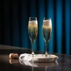 Verres à champagne Venezia, 210 ml - set de 6 pièces | KROSNO F578235020059000