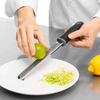 Râpe manuelle pour citrons | FORGAST FG11142