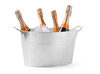 Coupe à champagne 40x33x22 cm | HENDI 425992