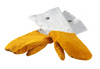 Gants de protection en cuir | HENDI 556658