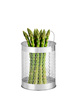 Casserole pour asperges Profi Line cap. 5,5 L | HENDI 833100