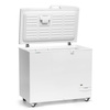 Congélateur coffre capacité 236 l | FORGAST FG08200