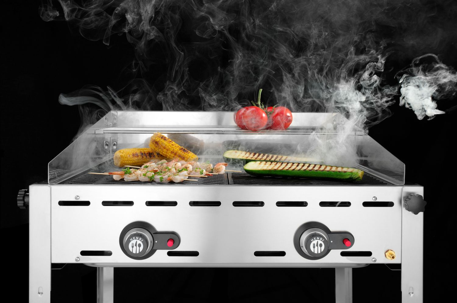 Barbecue à gaz Green Fire Profi Line à 2 brûleurs, 11,6 kW | HENDI 149621