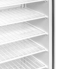 Armoire de congélation 1 porte 580 L en acier inoxydable | FORGAST FG08160