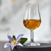 Verres de dégustation de whisky Pure 110 ml - lot de 6 pièces | KROSNO GLASS F577337010019000