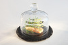Assiette en ardoise naturelle avec couvercle en verre, MORRA, diamètre 10,5 cm | APS 984