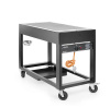 Grill à gaz Tampa, acier inoxydable, 10 kW | HENDI 700044