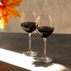 Verres à vin rouge VENEZIA 350 ml - lot de 6 pièces | KROSNO F578235035059000