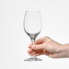 Verres à vin WINE 280, 280 ml, lot de 6 pièces | KROSNO GLASS F578281024028C20