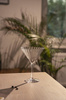 Verres à martini, PERFECTION, 200 ml | APS 10545