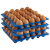 Boîte à œufs, avec lot de 4 plateaux à œufs, 35,4x32,5x20 cm | APS 82419