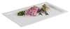 Plateau FRAMES, GN 1/1, porcelaine, couleur blanche | APS 82355