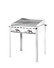 Barbecue à gaz Green Fire Profi Line à 2 brûleurs, 11,6 kW | HENDI 149621