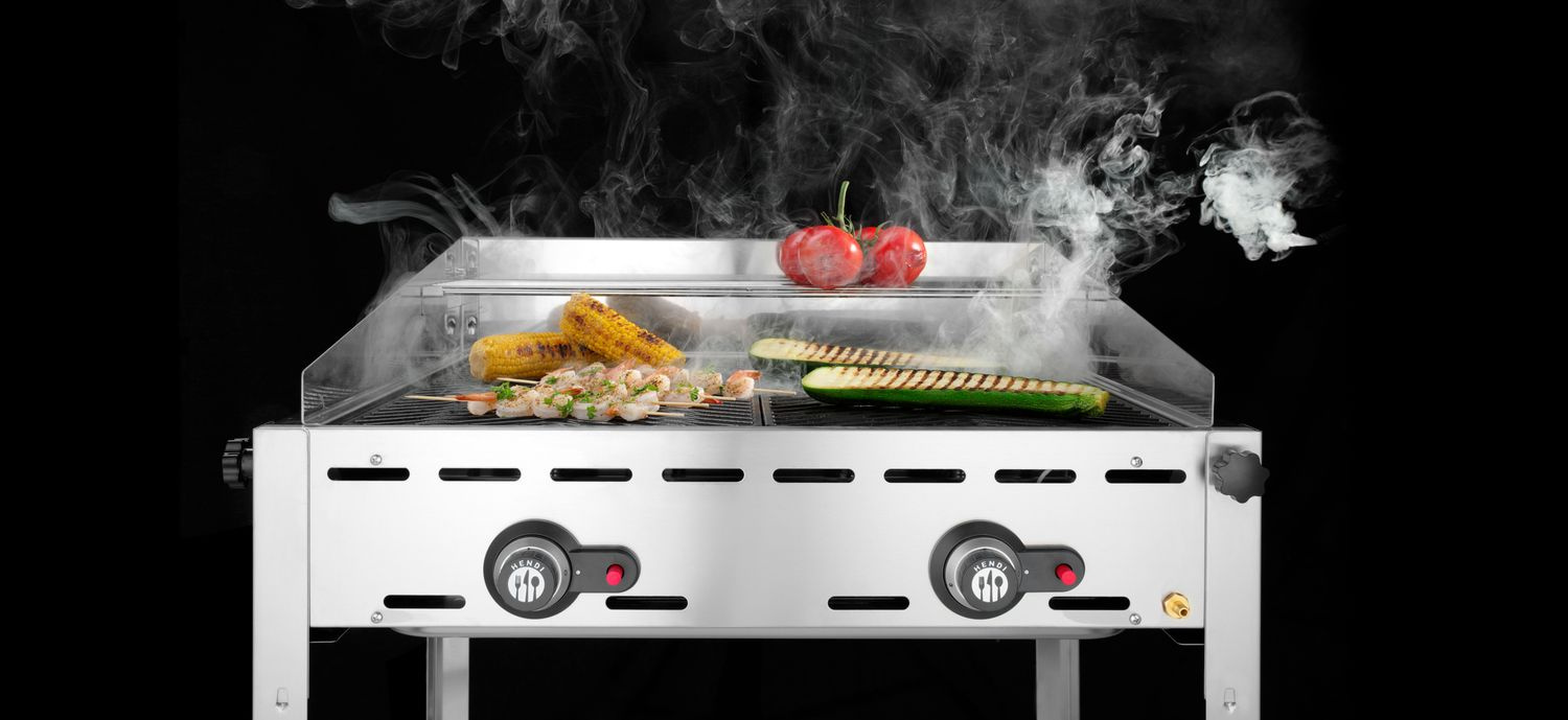 Barbecue à gaz Green Fire Profi Line à 2 brûleurs, 11,6 kW | HENDI 149621