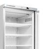 Armoire de congélation 1 porte 580 L en acier inoxydable | FORGAST FG08160