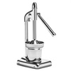 Presse-agrumes manuel 36,5 cm | FORGAST FG10503