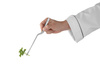 Pince gastronomique pour sushi - 21 cm | HENDI 680087