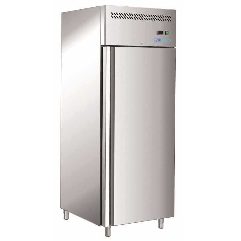 Armoire de congélation monobloc 1-porte GN 2/1 Forcold, 530 l, en acier inoxydable | FIMAR M-GN650BTS-FC